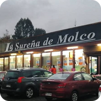 LA SUREÑA DE MOLCO